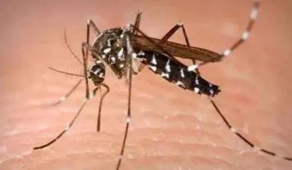 पीलीभीत: पीवी मलेरिया और डेंगू का मिला एक-एक मरीज, स्वास्थ्य विभाग अलर्ट