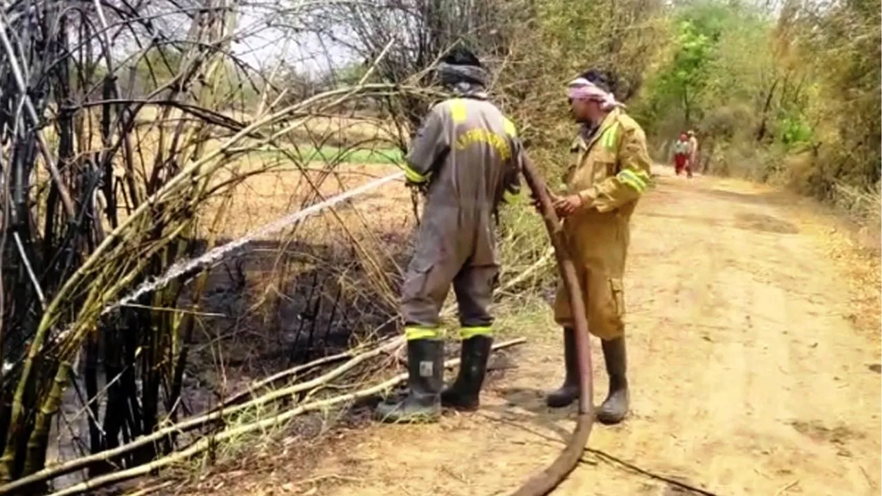 Mahoba Fire: फसल को आग से बचाने के चक्कर में किसान की जिंदा जलकर मौत; परिजनों में मचा कोहराम