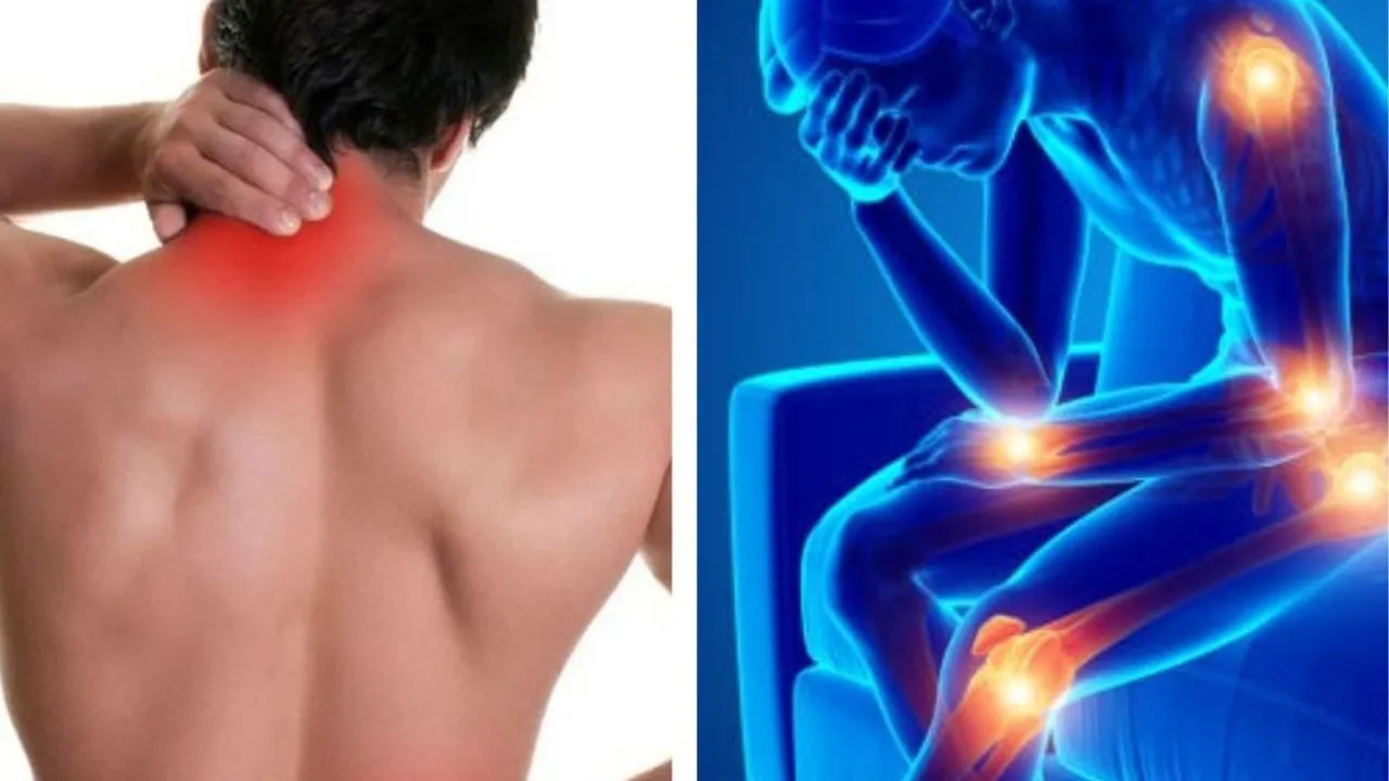 Kanpur: दिनचर्या में सुधार कई बीमारियों से करता बचाव; डॉक्टर बोले- हल्के-फुल्के दर्द को न करें नजरअंदाज