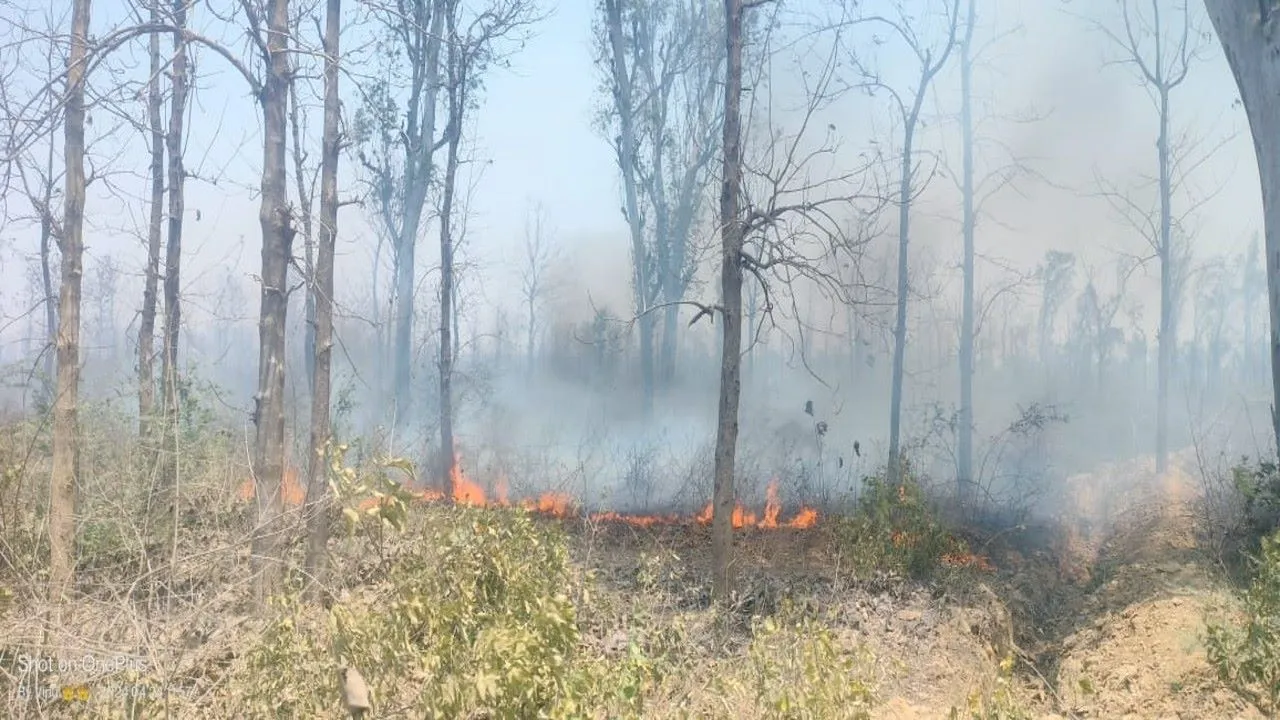 श्रावस्ती: अज्ञात कारण से जंगल में लगी आग फारेस्ट गार्ड झुलसे 
