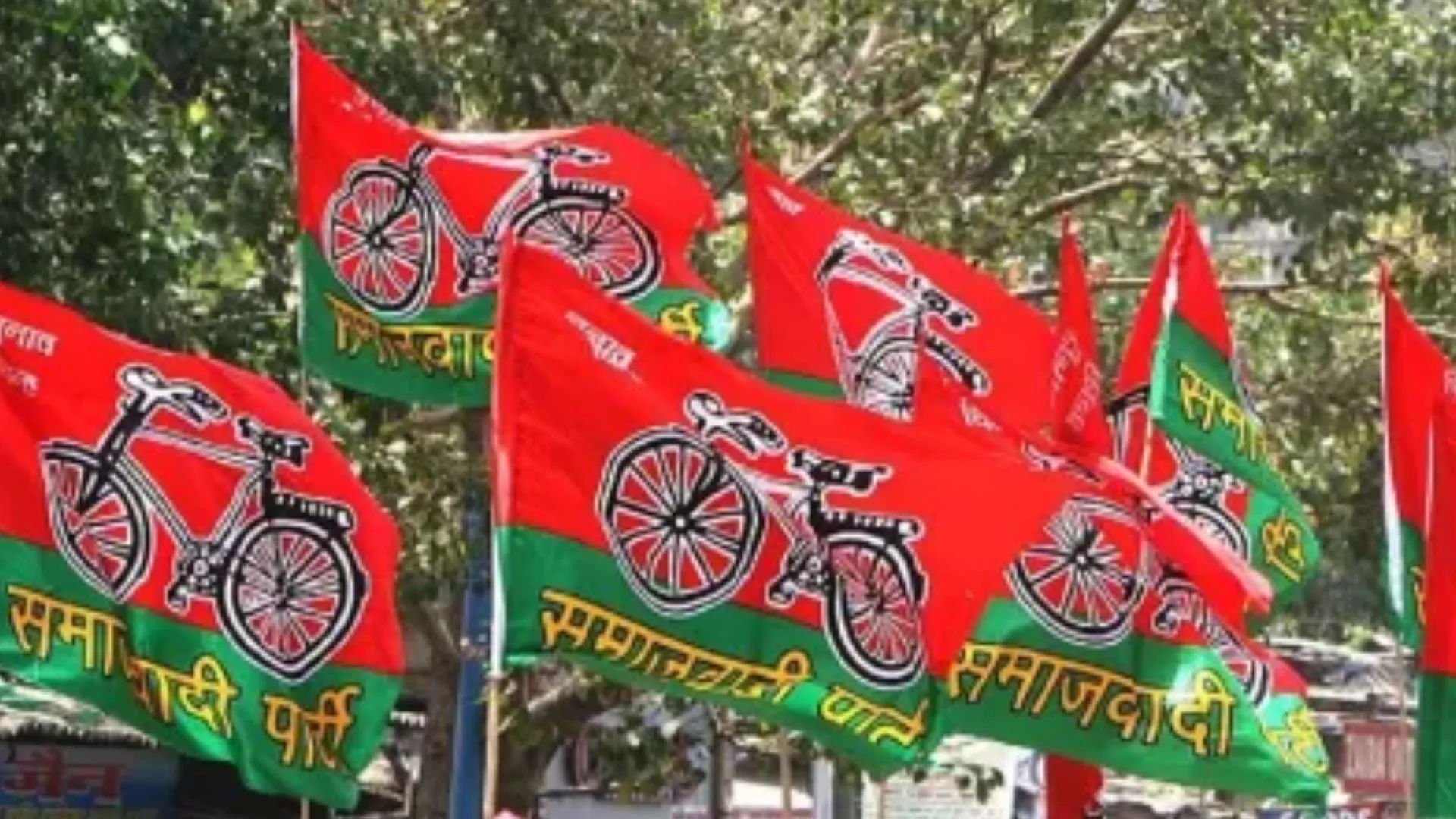 बरेली: सपा को भोजीपुरा, कैंट और नवाबगंज से उम्मीद, पिछले चुनाव में कम अंतर से हारी थी