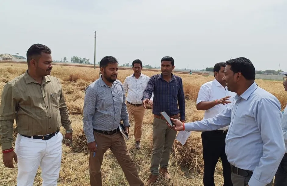 बदायूं: जिले में गेहूं की हुई बंपर पैदावार, डीएम के समक्ष हुई क्रॉप कटिंग 