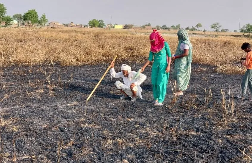 संभल: ट्रैक्टर मशीन से निकली चिंगारी से लगी आग, गेहूं की फसल जलकर राख...चालक भी झुलसा