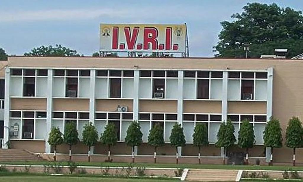Bareilly News: चिड़ियाघरों के हाथियों को मोटापे से बचाएगा IVRI का डाइट प्लान