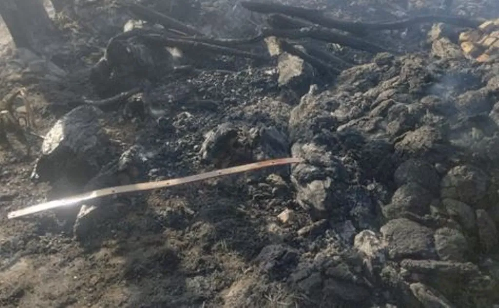 पीलीभीत: आग से 20 एकड़ गेहूं की फसल और छह छप्पर जले, दो झुलसे