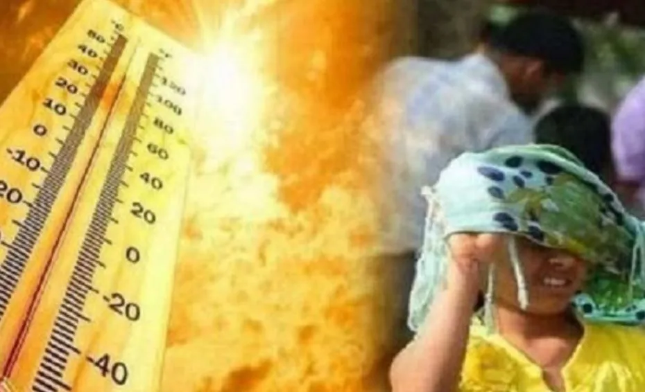 भीषण गर्मी बनी जान की दुश्मन, देशभर में करीब 41 लोगों की मौत...कई अस्पताल में भर्ती