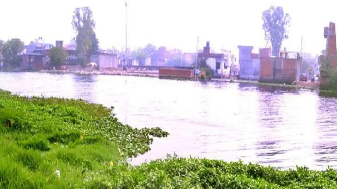 Good news: मवैया झील में होगी बोटिंग, किनारे पर महकेंगे फूल-बनेगा पिकनिक स्पॉट 