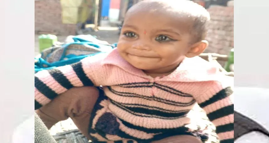 अमरोहा: दो साल की बच्ची पर कुत्तों ने किया हमला, नोंचकर मार डाला