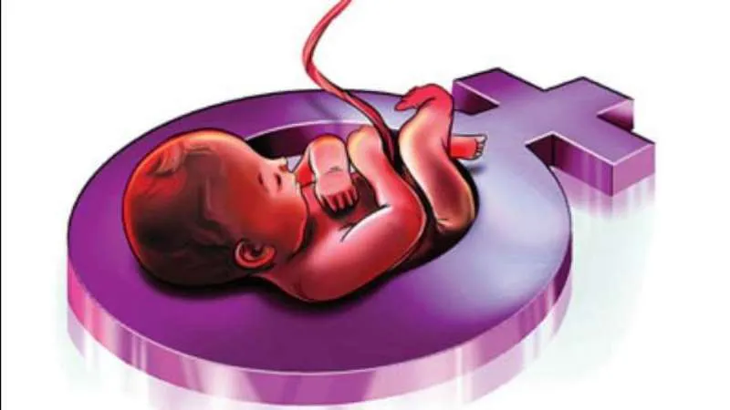 काशीपुर: कुत्ते के मुंह में सात माह का भ्रूण मिलने से मचा हड़कंप