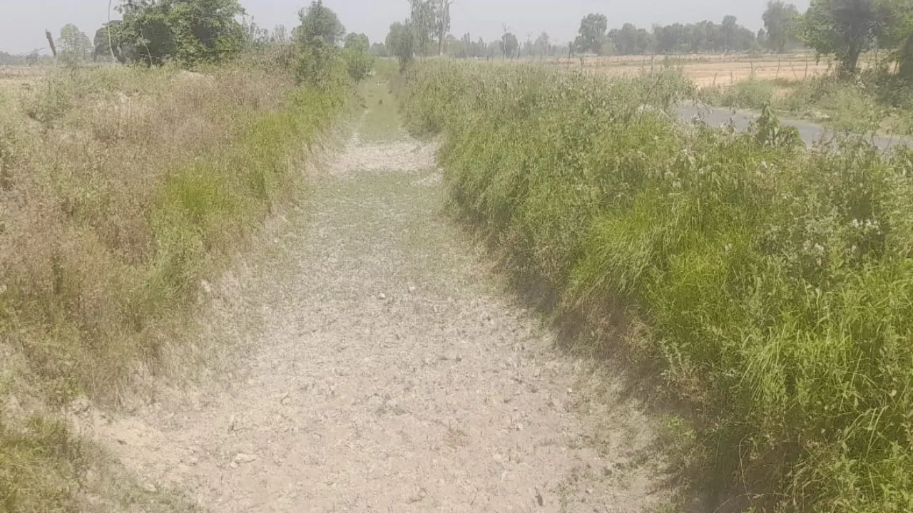 बाराबंकी में नहर के इस हिस्से में कभी आया ही नहीं पानी, अपना साधन अपनाने को मजबूर हैं किसान