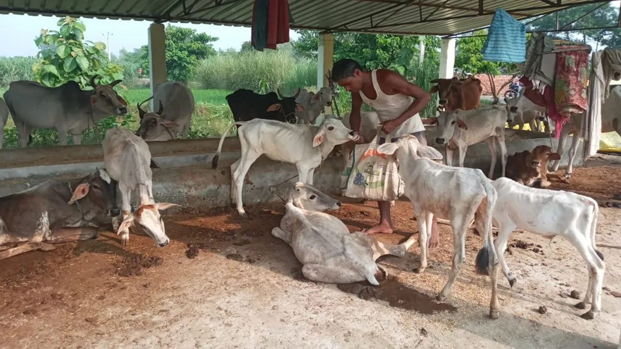  सीतापुर: रासायनिक खादों और कीटनाशक दवाओं के प्रयोग से बंजर हो रही भूमि, किसान गोष्ठी में बोले डा. रामकुशल सिंह