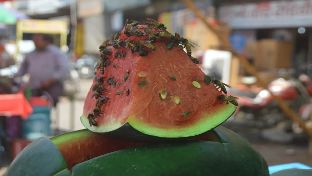 हरदोई में भीषण गर्मी के बीच बाजार में धड़ल्ले से बिक रहे कटे फल, जिम्मेदारों को होश ही नहीं  