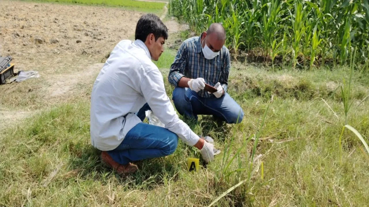 28 - 2024-05-29T163745.056