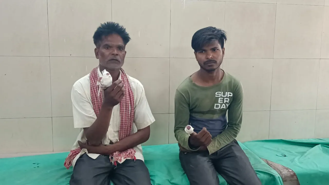 बहराइच: जमीनी विवाद में भतीजे ने चाचा के अंगूठे को दांत से काटा, बेटे को भी पीटा 