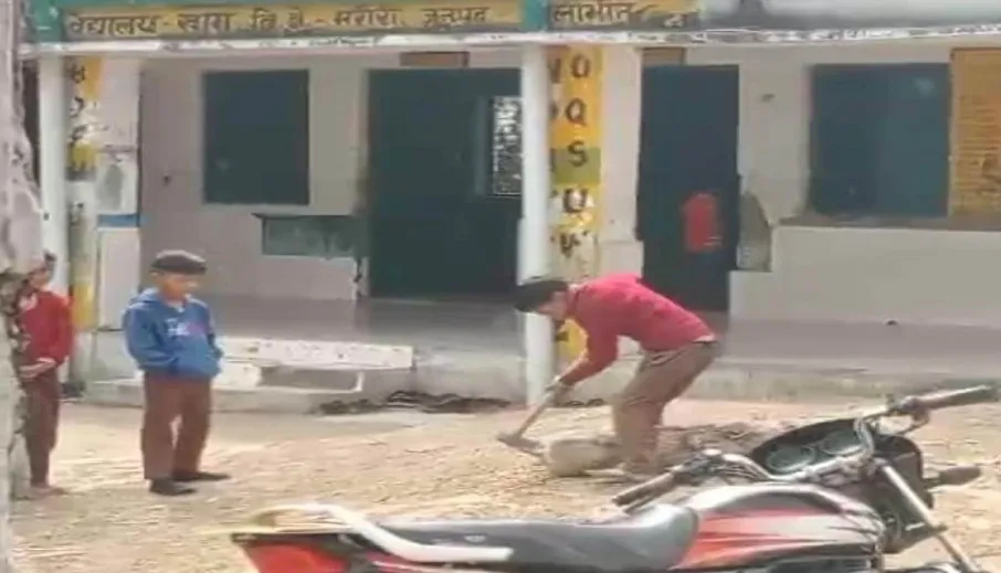 पीलीभीत: सरकारी स्कूल का हाल: मास्साब को चाहिए 50 किलो गेहूं, बच्चों से करा रहे काम...कोटेदार परेशान! 