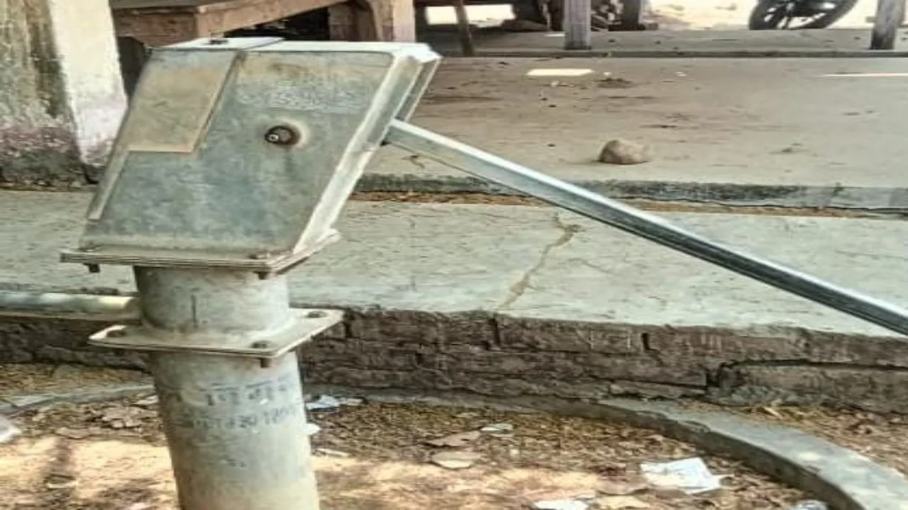 प्रयागराज: भीषण गर्मी में सूख रहे हलख, नहीं मिल रहा पानी 