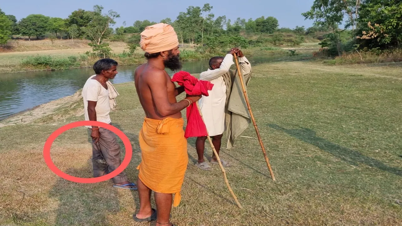 सीतापुर: बाघ ने किया भैंस का शिकार, गांव में दहशत, विभाग बेपरवाह 