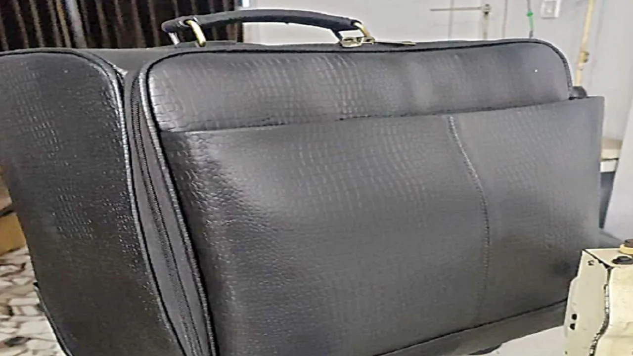 वियतनाम को पसंद आए कानपुर के ट्रॉली बैग; निर्यातक बोले- मजबूती और बेहतर डिजाइन की वजह से छीना चीन से बैग का ऑर्डर