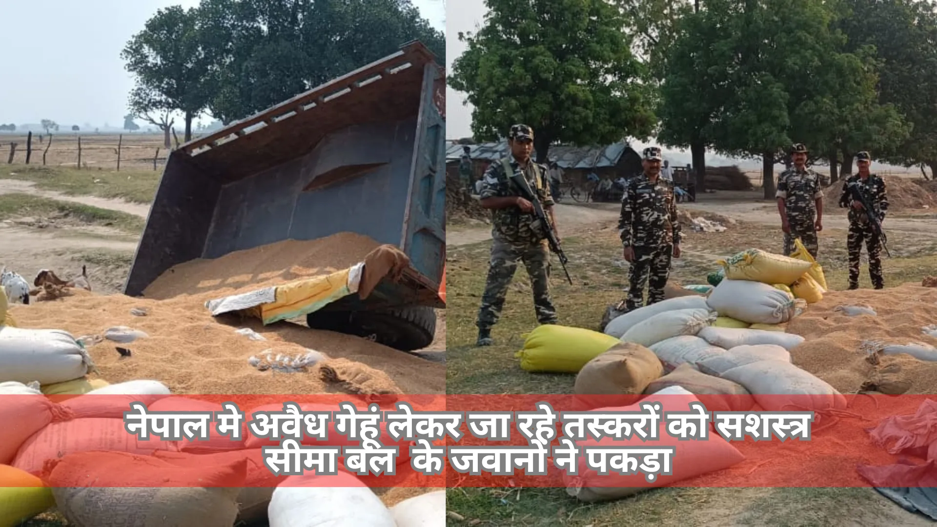 श्रावस्ती: अवैध गेहूं लेकर नेपाल जा रहे तस्करों को सशस्त्र सीमा बल के जवानों ने पकड़ा