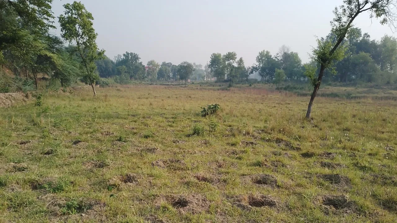 बड़ा खुलासा: जहां रोपे थे एक लाख पौधे अब वहीं हुई गड्डा खोदाई