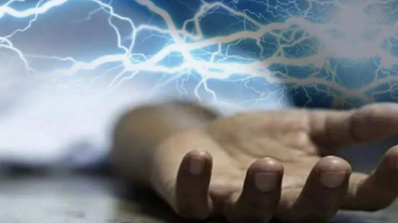 खेत की तारकशी के करंट से किसान की मौत, परिजनों में मचा कोहराम 