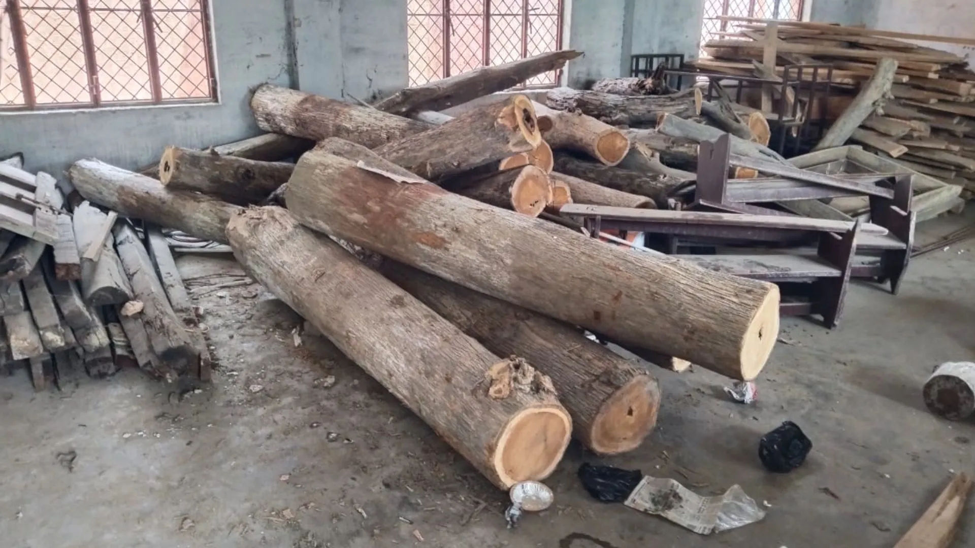 लखीमपुर खीरी: बिना परमिट काट लिए सागौन के पांच पेड़, कॉलेज प्रबंधक पर केस 