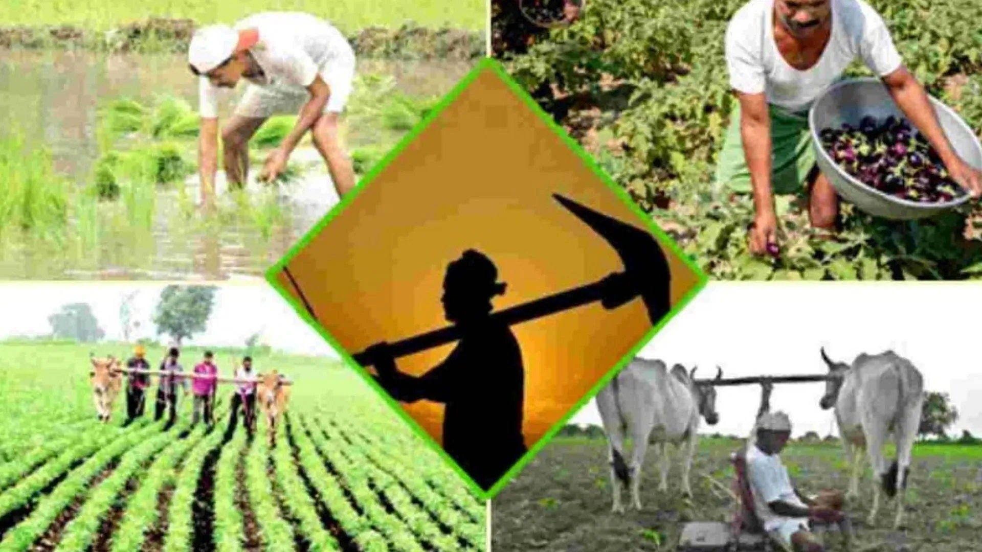 बरेली: साल भर के ही अंदर आठ गुना एनपीए...बैठते MSME,चौपट होते कृषि क्षेत्र की कहानी
