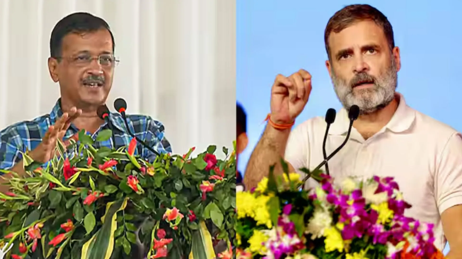 मुख्यमंत्री केजरीवाल कांग्रेस के लिए मतदान करेंगे और राहुल आप को वोट देंगे: राघव चड्ढा 