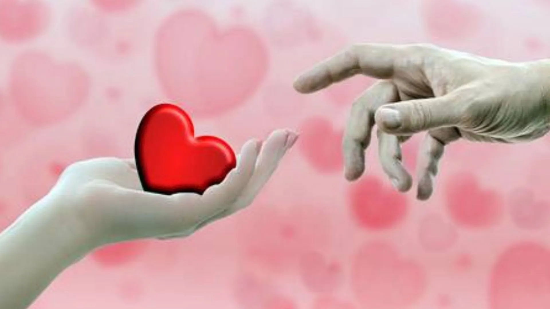 बरेली: टूटे रिश्तों को जोड़ रहा सखी वन स्टॉप सेंटर, पति-पत्नी के बीच के विवादों को सुलझा रहा