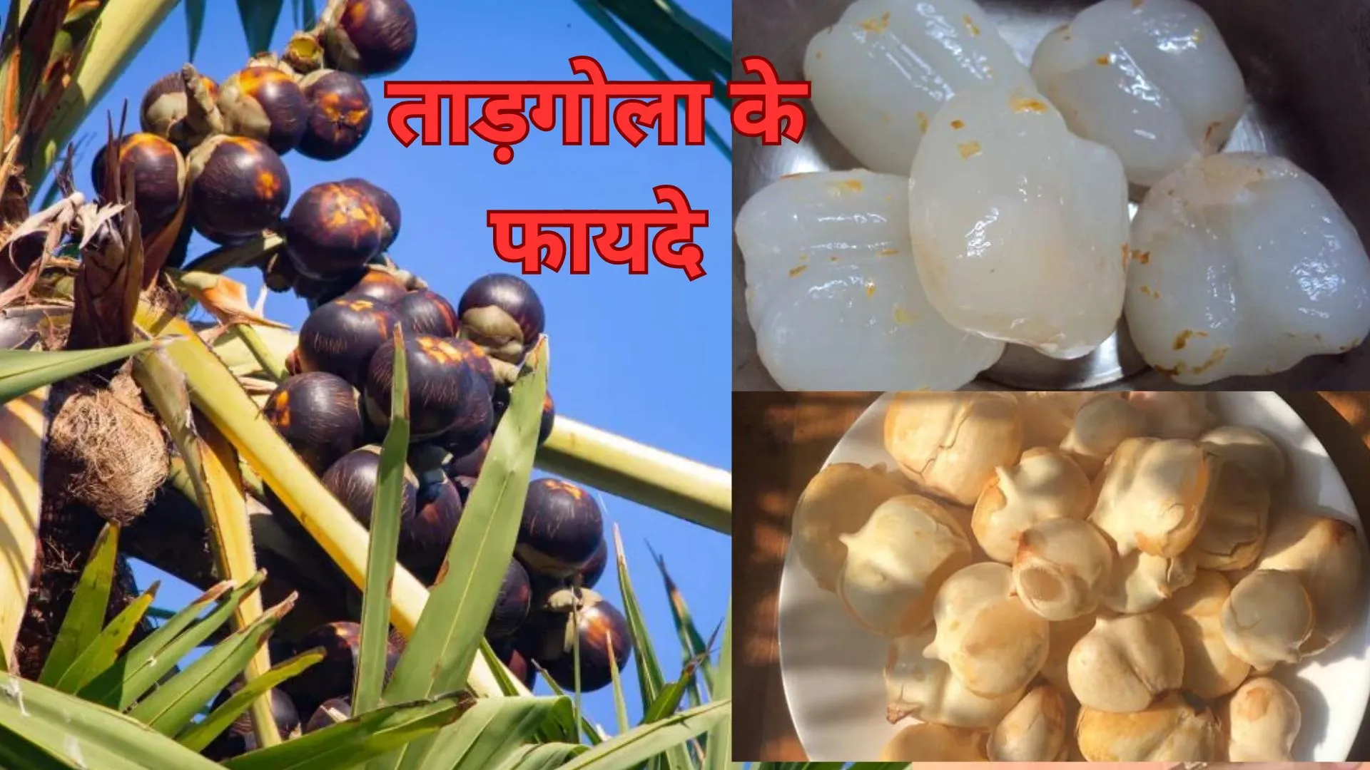 Health Tips: गर्मी में पेट को ठंडक देने में नारियल को टक्कर देता है ये फल, इन परेशानियों में है मददगार