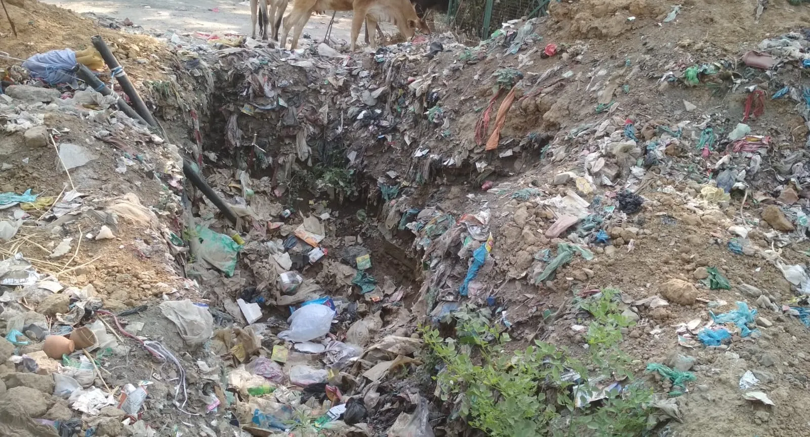 बदायूं: पाइप लाइन फटी फिर भी आवास विकास में हो रही पेयजल की सप्लाई, पेट की बीमारियों से ग्रस्त हो रहे लोग