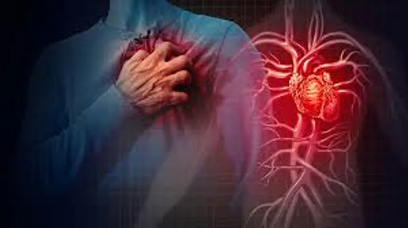 देहरादून: चारधाम यात्रा में Heart Attack से अब तक 52 श्रद्धालुओं की हुई मौत
