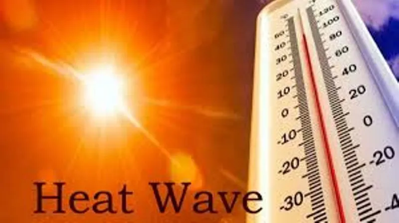 हल्द्वानी: Heat Wave से अभी राहत नहीं...21 मई के बाद राहत मिलने के आसार