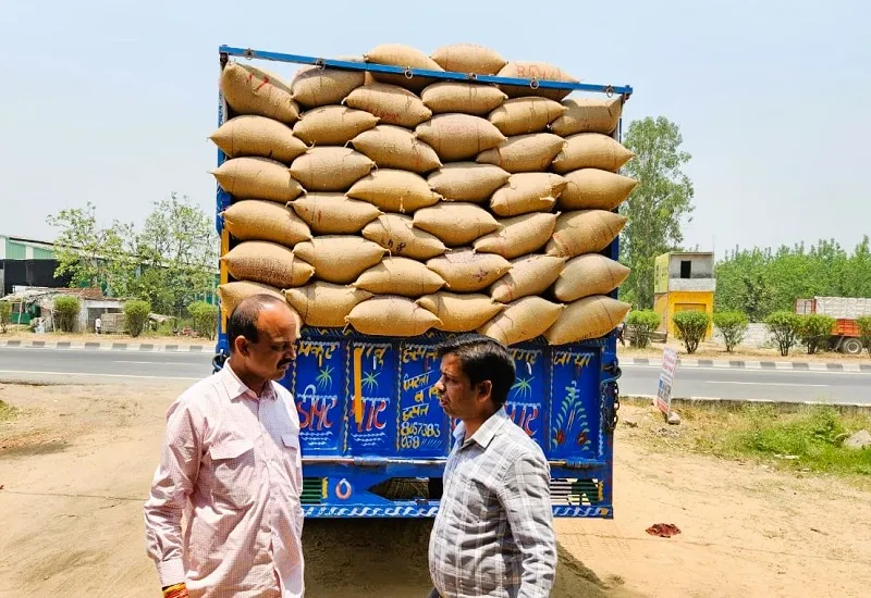 मुरादाबाद : गेहूं खरीद प्रतिशत में मुरादाबाद प्रदेश में टॉप पर, हमीरपुर दूसरे स्थान पर