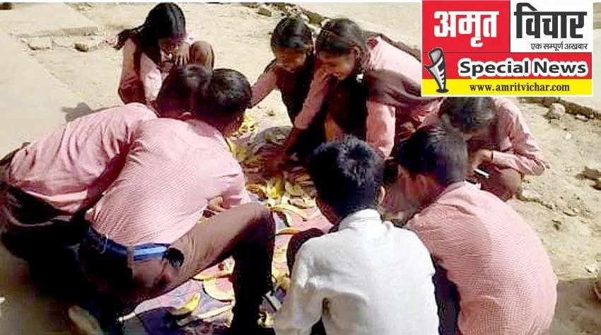लखनऊ के इस उच्च प्राथमिक विद्यालय में बच्चे बना रहें केले के छिलके से जैविक खाद, पौधों के लिए है बहुत उपयोगी 