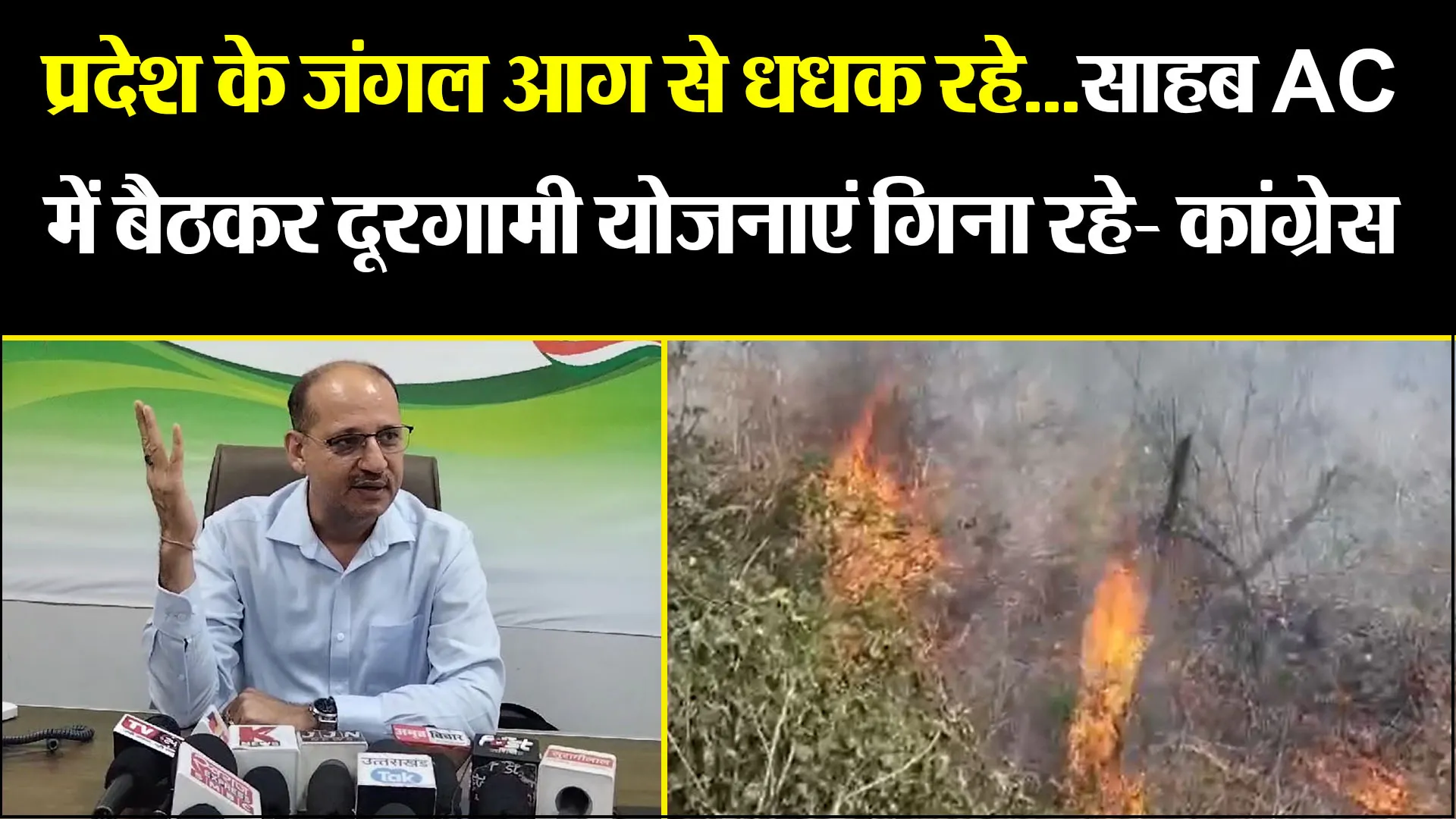 हल्द्वानी: प्रदेश के जंगल आग से धधक रहे...साहब AC में बैठकर दूरगामी योजनाएं गिना रहे- कांग्रेस