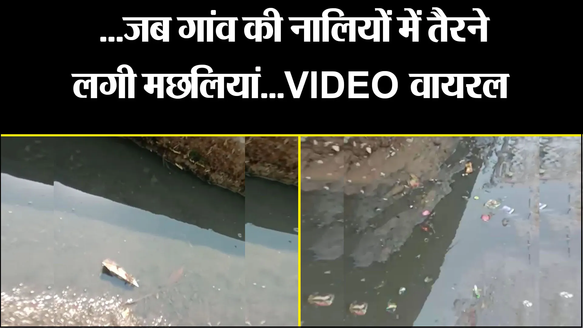 बदायूं:  ...जब गांव की नालियों में तैरने लगी मछलियां...VIDEO वायरल
