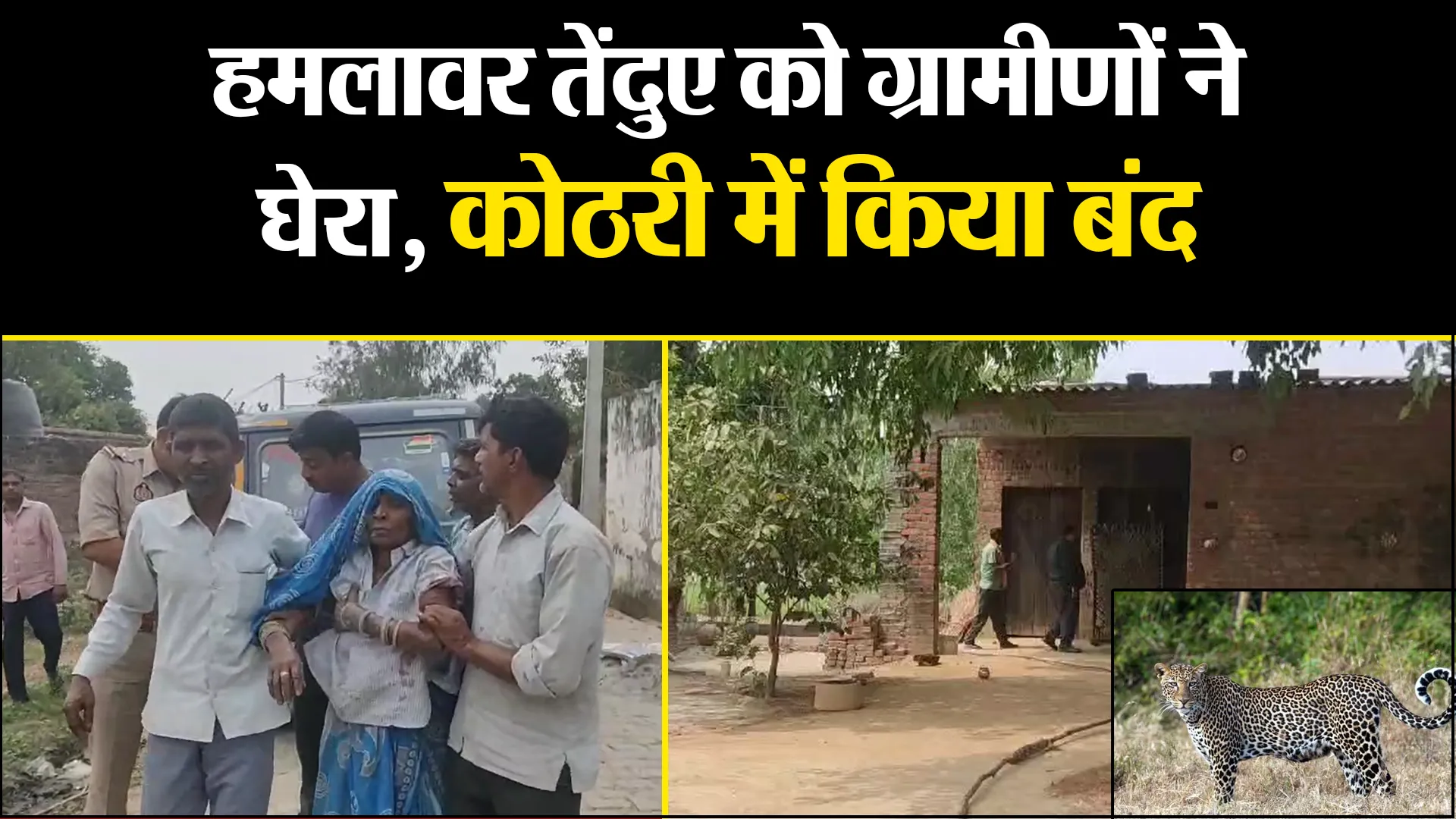 मुरादाबाद: हमलावर तेंदुए को ग्रामीणों ने घेरा, कोठरी में किया बंद 