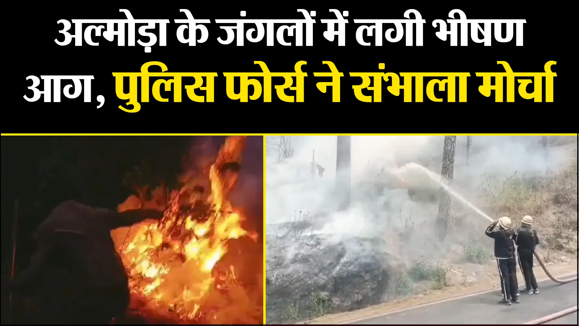 अल्मोड़ा के जंगलों में लगी भीषण आग, पुलिस फोर्स ने संभाला मोर्चा