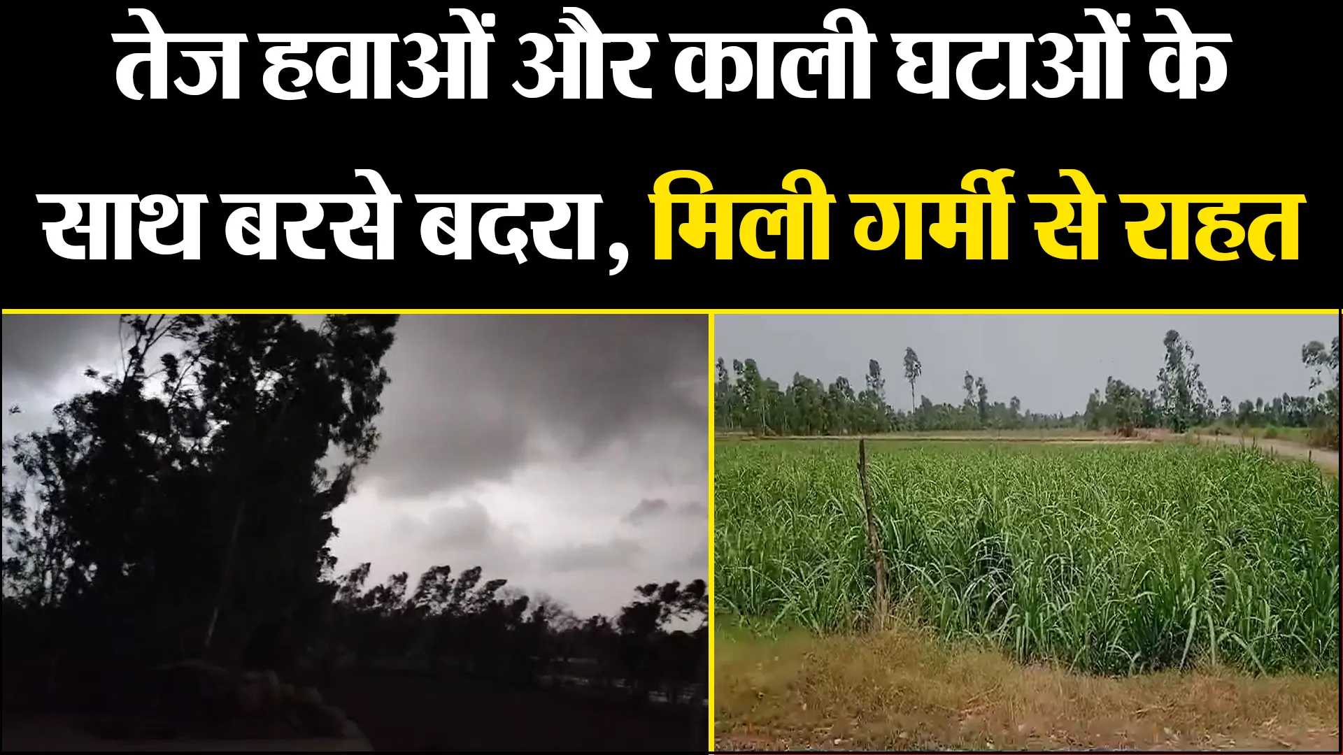 बरेली: तेज हवाओं और काली घटाओं के साथ बरसे बदरा, मिली गर्मी से राहत