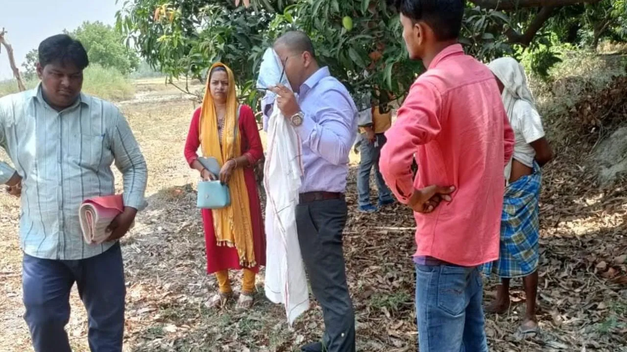 Unnao News: ग्राम समाज जमीन पर लगे 500 पेड़ चोरी से काटे गए...चार पर FIR दर्ज, पुलिस ने शुरू की जांच