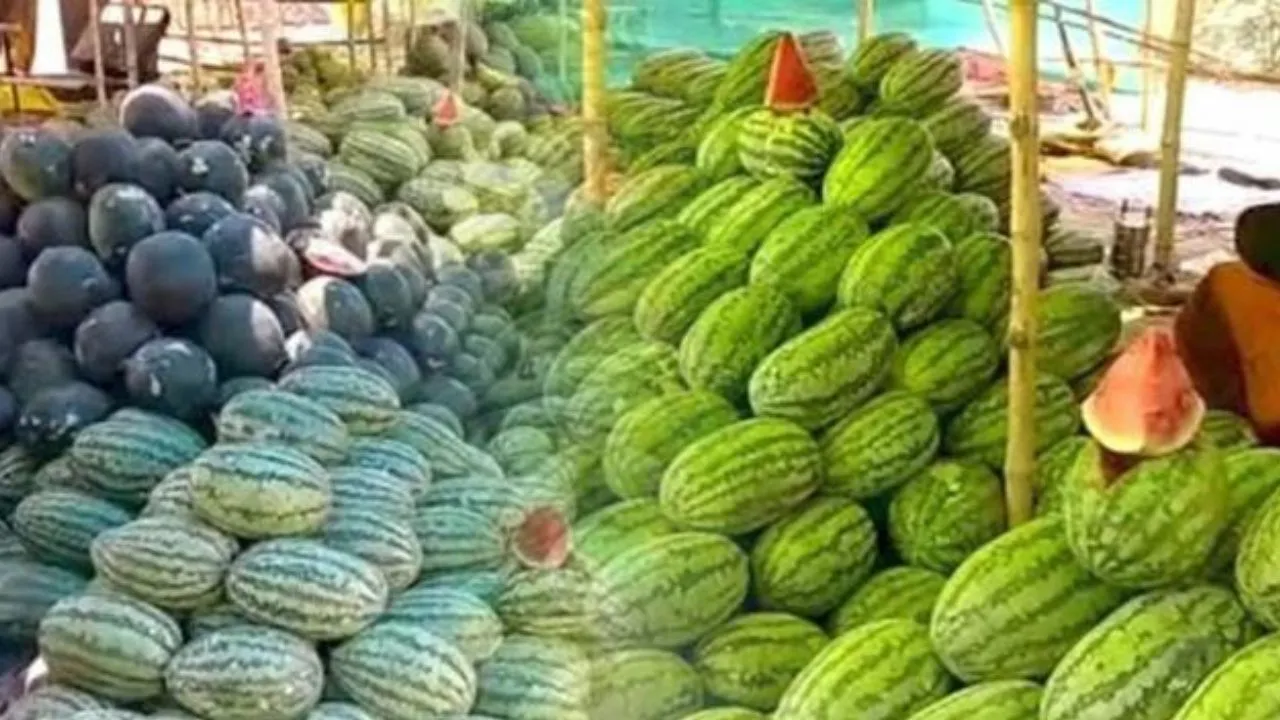 Unnao News: लोगों को ठंडक देकर किसानों की जेब गर्म कर रहे ‘माधुरी’ व ‘काला पेड़ा’  