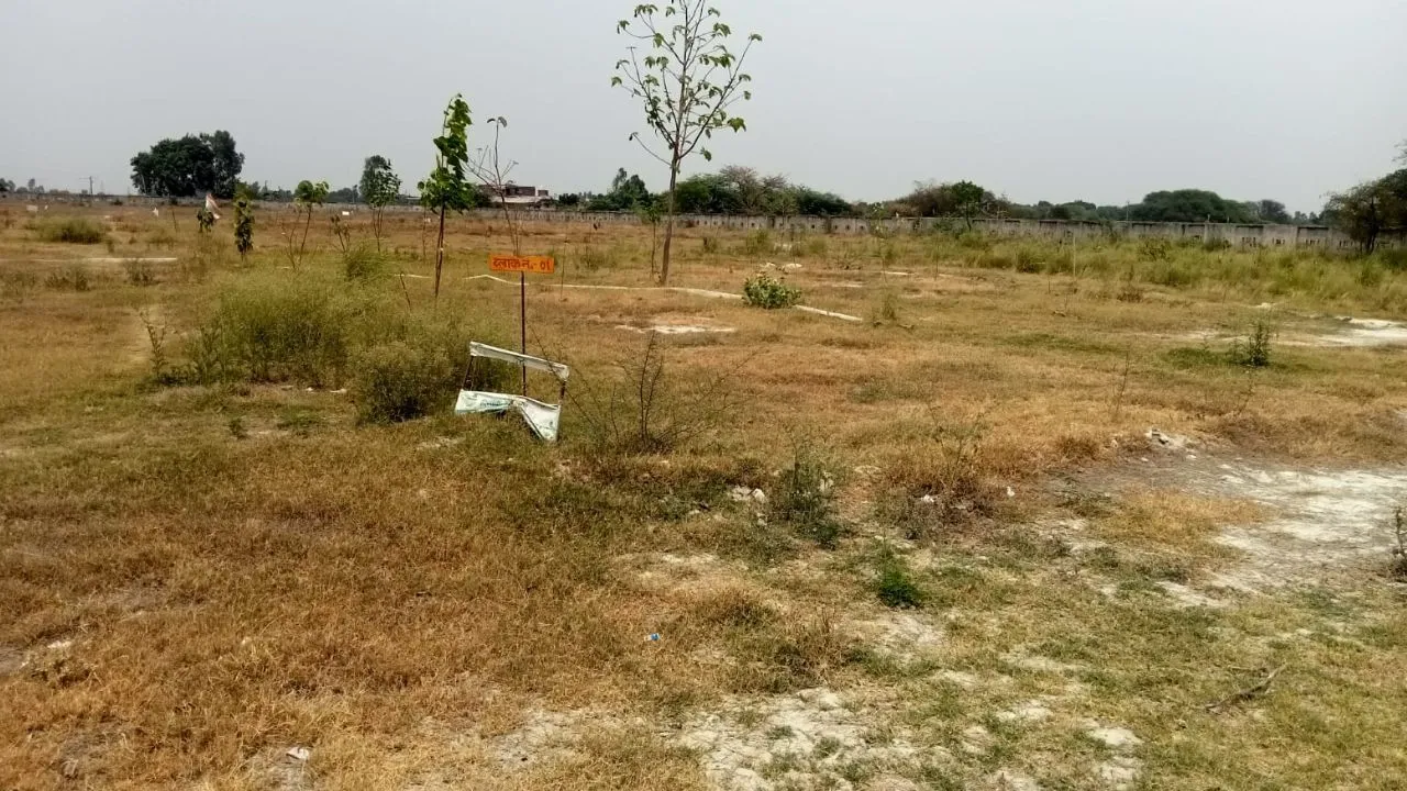 Unnao News: अफसरों की उदासीनता की भेंट चढ़ गए बीते वर्ष रोपे गए पौधे...जंग लगा ताला कर रहा चुगली 
