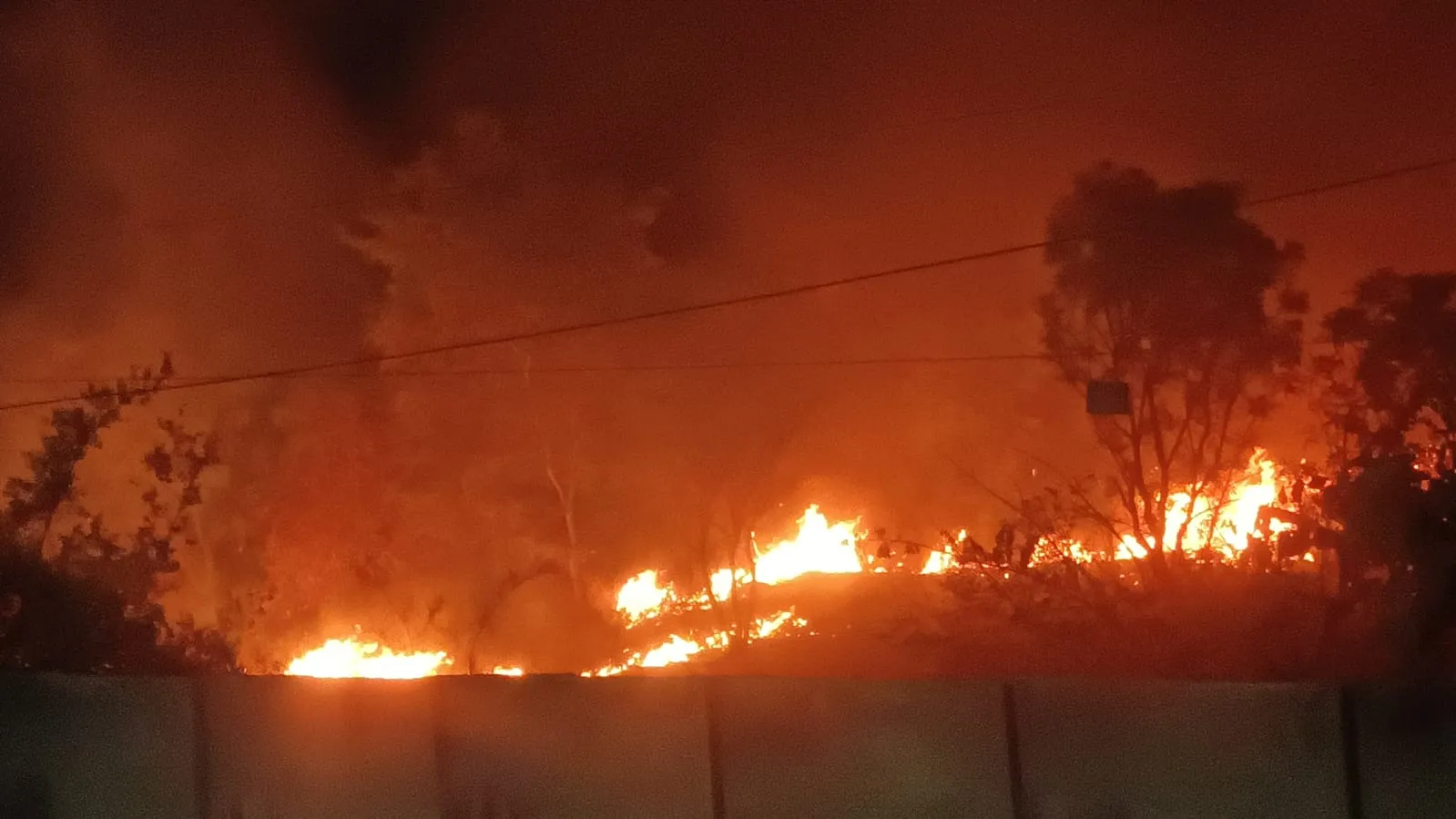 अमरोहा: बन्द पड़ी फैक्ट्री में उगी झाड़ियों में अचानक लगी आग, ऊंची-ऊंची लपटों को देखकर घबराए लोग