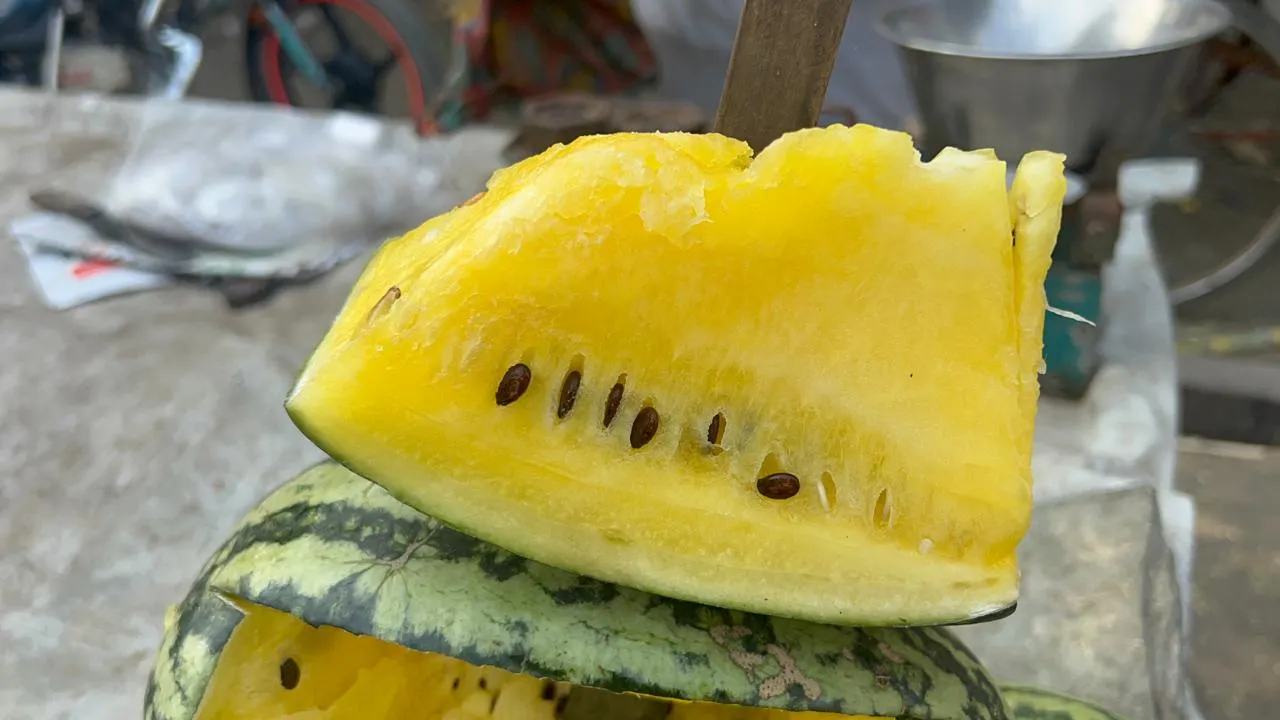 WhatsApp Image 2024-05-02 at 5.03.22 PM