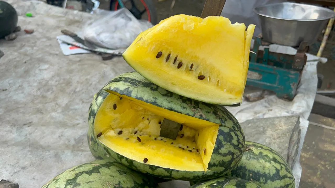 बरेली: शहर में छाया पीला तरबूज, मिठास अधिक होने से जमकर हो रही खरीदारी...जानें कीमत 