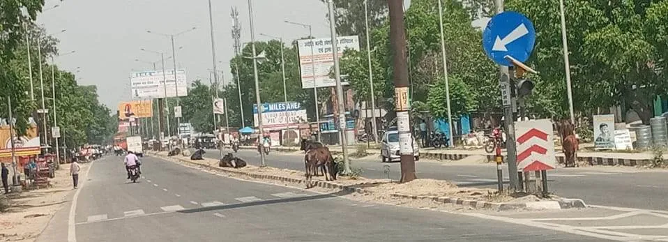 WhatsApp Image 2024-05-03 at 11.39.51 AM