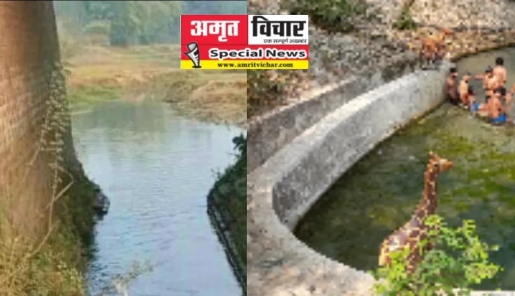 Special Story: गोमती नदी को जीवन दे रहे तपोवन आश्रम के प्राकृतिक जलस्रोत