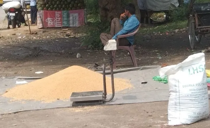 बदायूं: गेहूं खरीद में हासिल नहीं हुआ लक्ष्य, मंडल में पाया दूसरा स्थान 