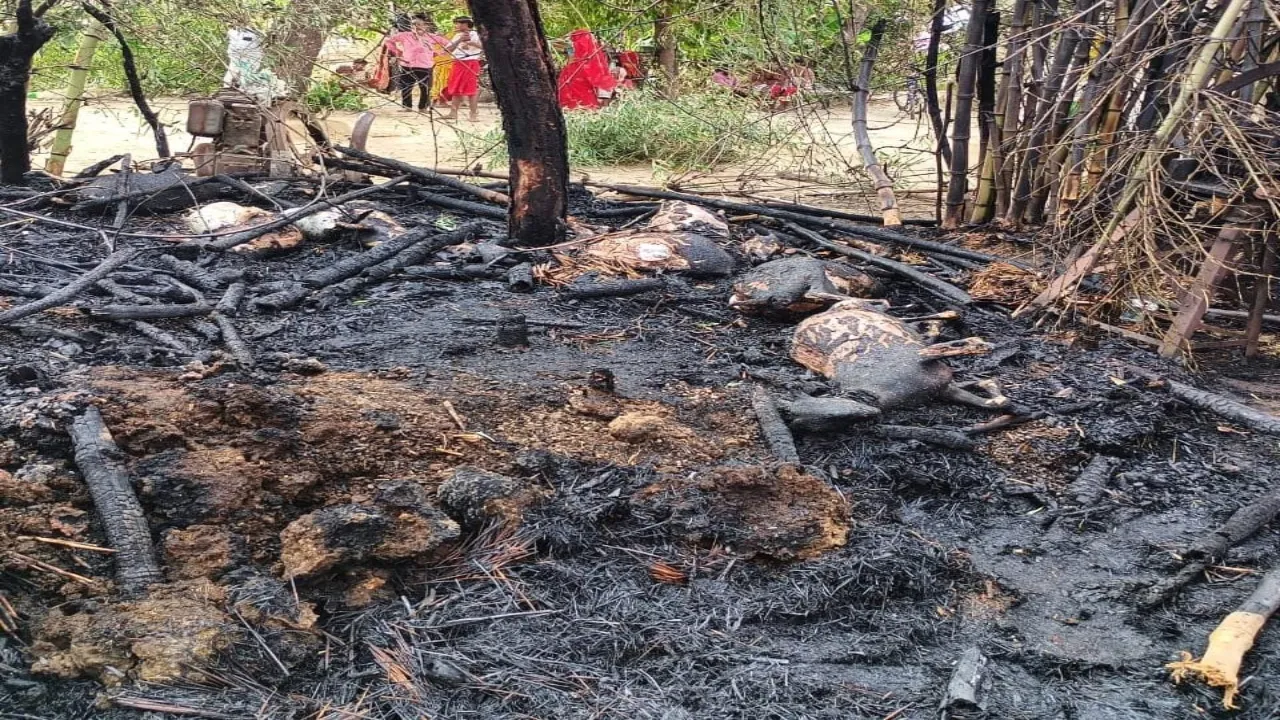 प्रयागराज : घर में लगी आग एक भैंस, 10 बकरियां जलीं 